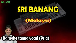 Download lagu Sri banang karaoke melayu nada pria (keyboard) mp3