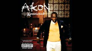Akon - Shake Down