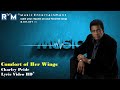 Comfort of Her Wings - Charley Pride ®Lyric Video HD