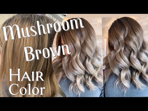 MUSHROOM BROWN HAIR TREND | Formulation For The...