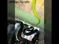 MEMBERI MAKAN ULAR BOIGA DENDROPHILA DENGAN ULAR PUCUK MEMBERI MAKAN ULAR BOIGA DENDROPHILA DENGAN ULAR PUCUK