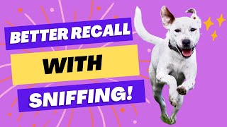 Use Sniffing to BOOST Recall!