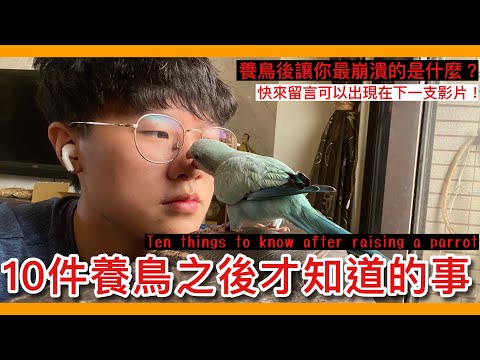 養鳥禁忌