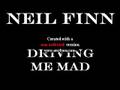 Neil Finn - Driving Me Mad 