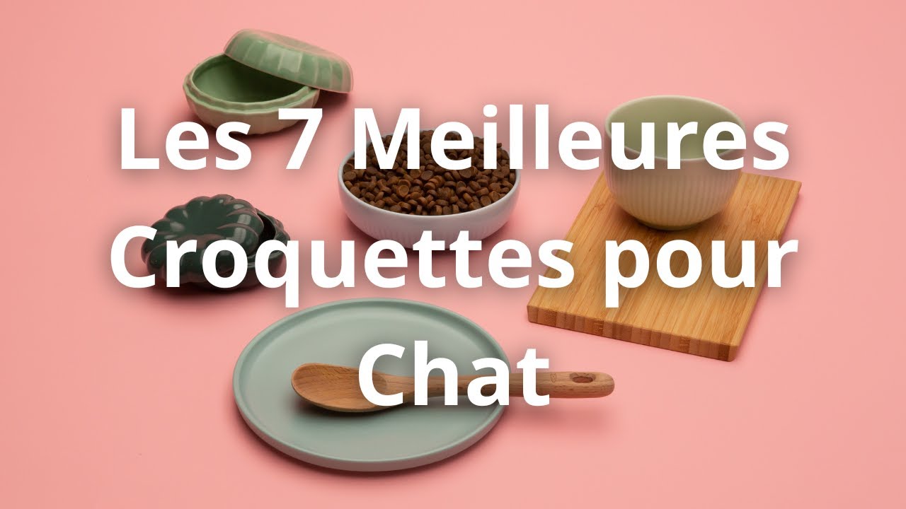 Comparatif : Les 7 Meilleures Croquettes pour Chat en 2023