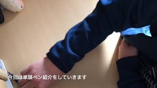 平成最後のペン紹介【単頭ペン編】