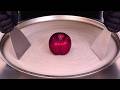 Plum Ice Cream Rolls That Look Too Satisfying ASMR