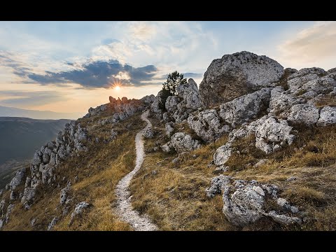 Davide Verotta - Nel Tardo Mezzo