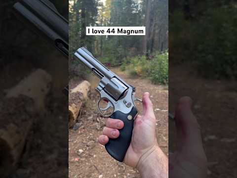 44 Remington Magnum