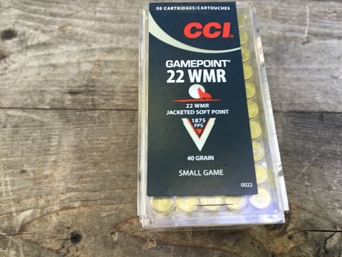 .22 Magnum/WMR, 40gr JSP CCI Gamepoint, (#0022) Velocity Test
