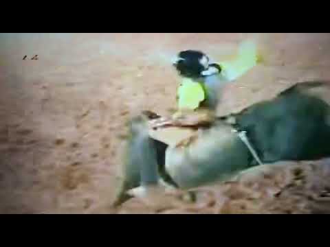 Marcio novais “viola” X fricote cia Shalom final Cassilandia 2011