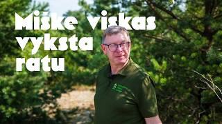 Girininkas Algirdas. Kasdienybė Neringos miške