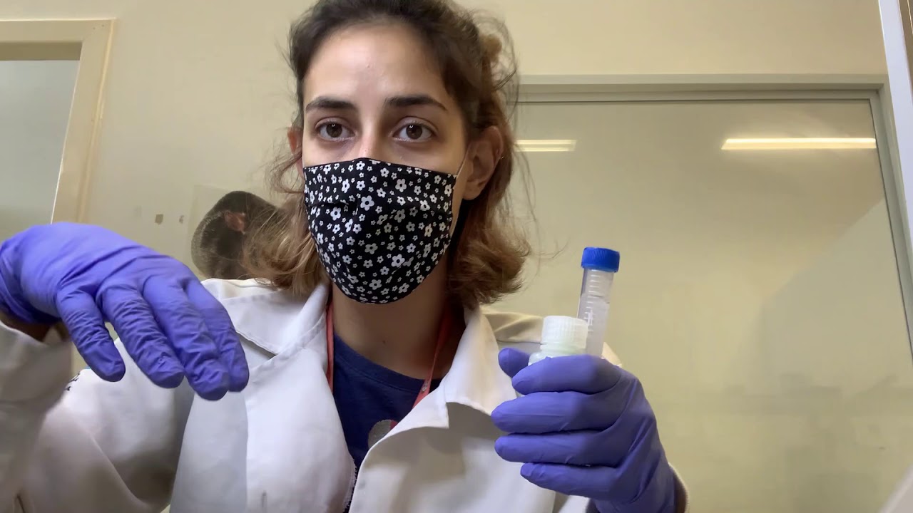 Aula Prática - Curva Padrão