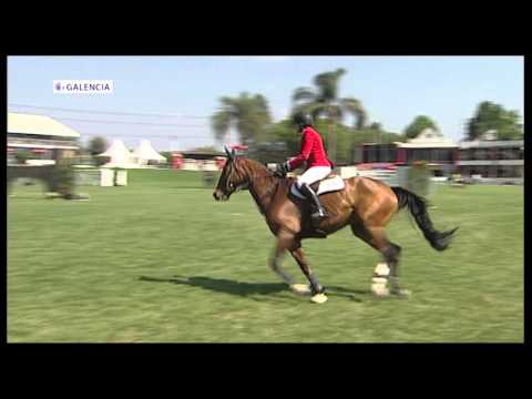 2015 SA DERBY WINNING RIDE