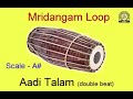 Aadi Talam Mridangam Loops A Scale