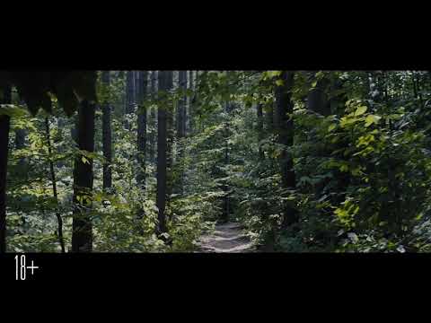 4 апреля 2019 г.