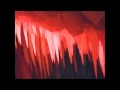 Composition Blood Den