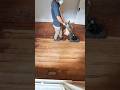 Refinishing 100 year old hardwood floors with "character" AKA damaged #polyurethane #woodflooring