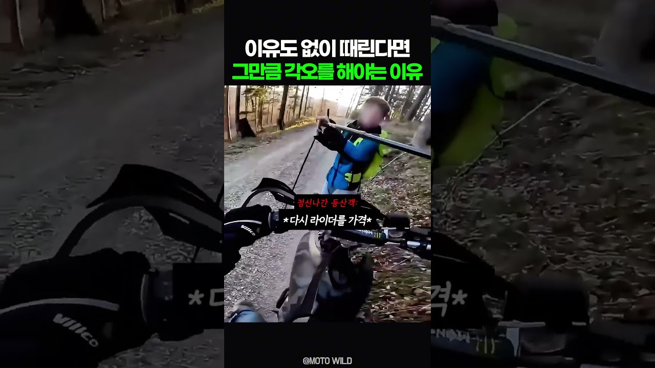 이유도 없이 때린다면 그만한 각오를 해야는 이유