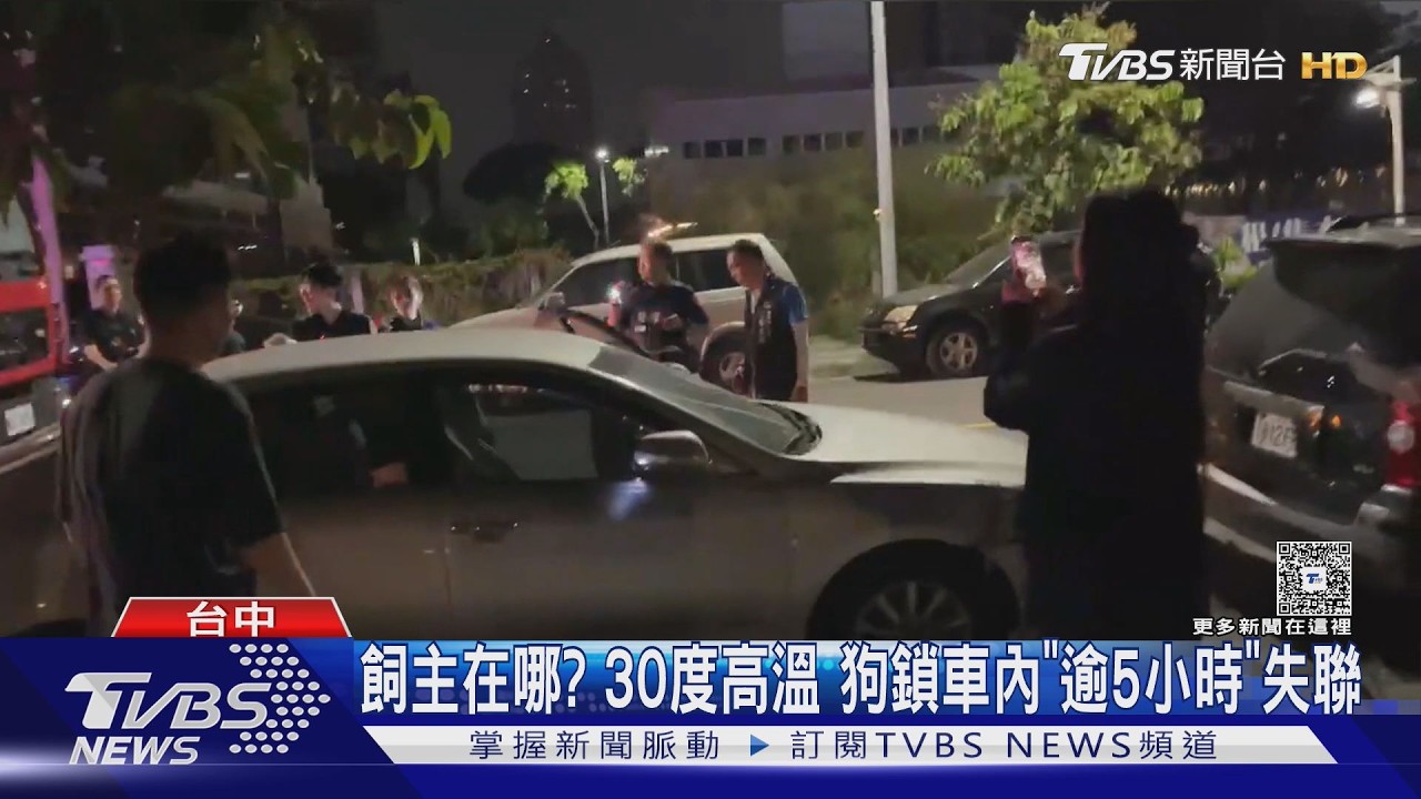 「車窗僅留10公分」狗困車內5hr！台中飼主失聯　警消到場嘆：無法破窗