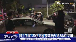 「車窗僅留10公分」狗困車內5hr!台中飼主失聯 警消到場嘆:無法破窗