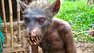 20 MACACOS ESTRANHOS QUE VOCÊ NÃO VAI ACREDITAR QUE EXISTEM! (DOCUMENTÁRIO) - 4K