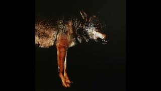 Melange - Viento Bravo (Full Album 2017)