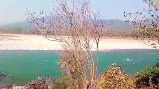 preview picture of video 'Mathanguri bungalow at Manas National Park'