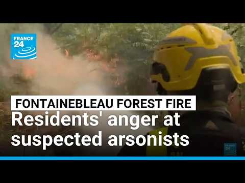 Firefighters battle 'contained' Fontainebleau forest fire near Paris amid arson probe