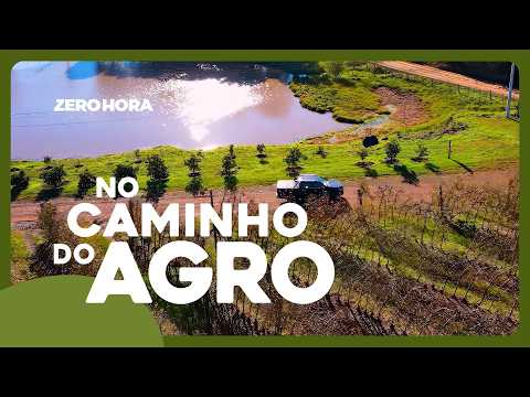 Dos Campos de Cima da Serra para o Brasil: a história da maçã de Vacaria | No Caminho do Agro #04