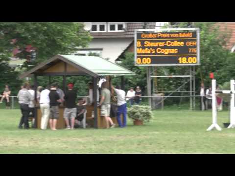 Mefas Cognac Stechen Ilsfeld 2012