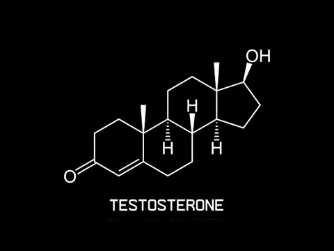 PURE TESTOSTERONE V2 | Extreme Testosterone Surge & Androgen Dominance | Subliminal + Morphic Field