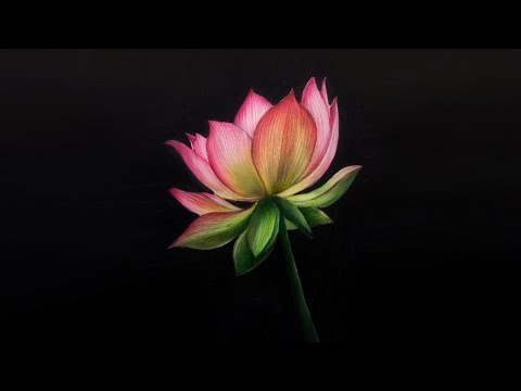 Drawing for Beginners Step by Step | Day 011 Part 1 | Basic Pencil Shading Technique Part 1