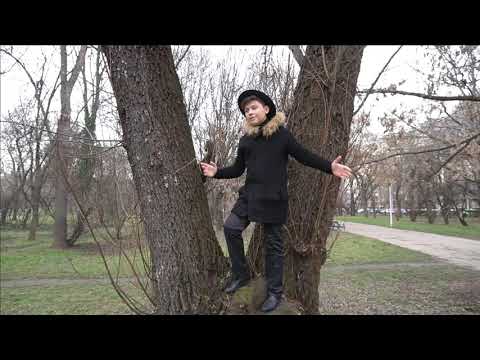 MARIO EDUARD - CE SEARA MINUNATA - Cover - Ion Suruceanu