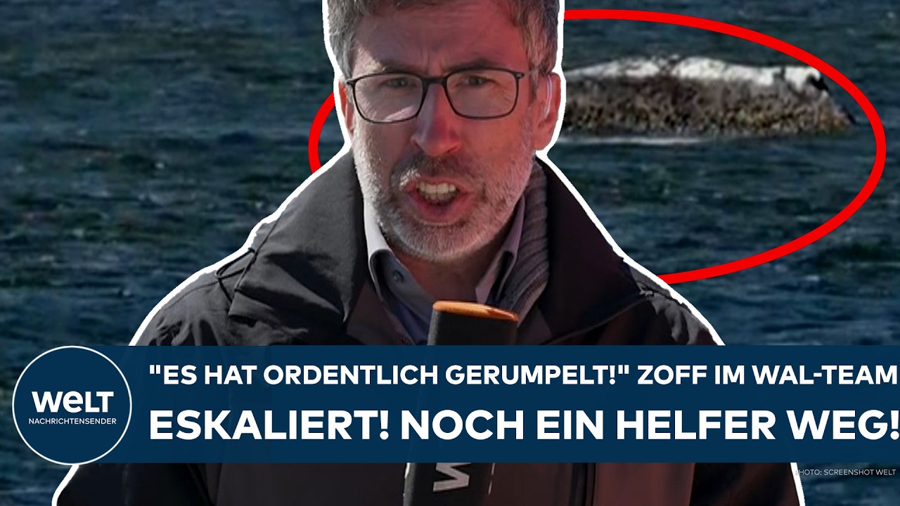 INSEL POEL: "Es hat ordentlich gerumpelt!" Zoff im Wal-Team eskaliert weiter! Noch ein Helfer weg!