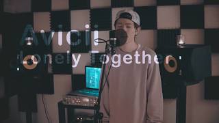 Avicii - Lonely Together (Cover)