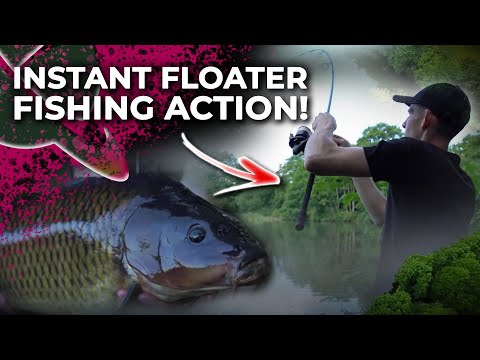 FISHING FOR CARP ON THE SURFACE AT A STUNNING LAKE!