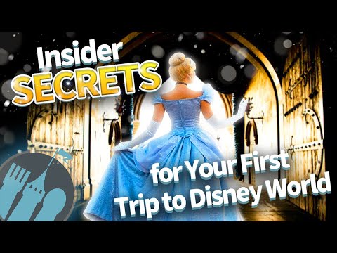 Secrets d'initiés pour votre premier voyage à Disney World
