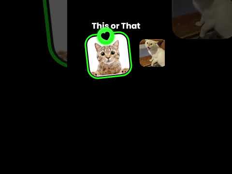Choose your cat this or that