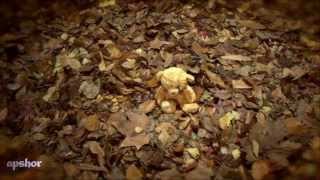 Malika Ayane - Come foglie