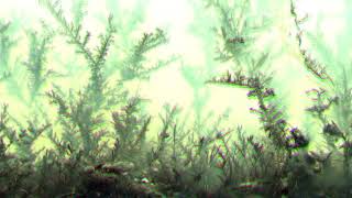 Shlohmo - Big Feelings (vvvv visualizer patch)