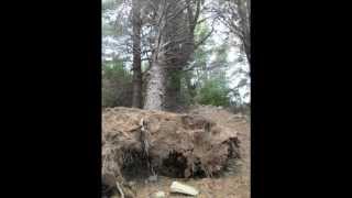 Those Dancing Days - Help Me Close My Eyes