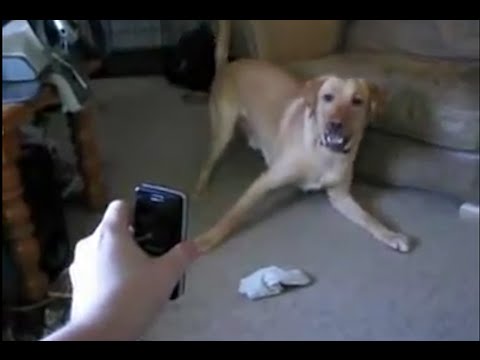 download lagu mp3 mp4 Nothing Is Scared, download mp3 Nothing Is Scared free download mp3, download mp3 Nothing Is Scared