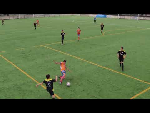 Estarreja - Severfintas