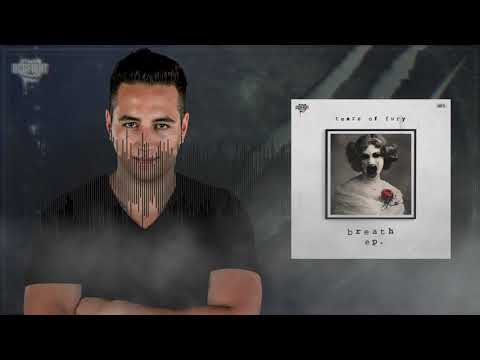 Tears of Fury feat. Ragnarok - Face Puncher