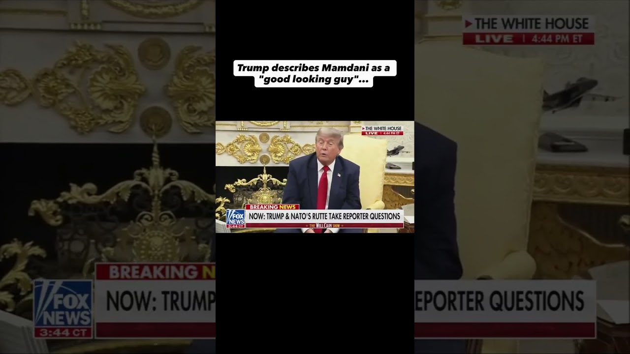 Donald Trump describes Zohran Mamdani as a "charming" and "good looking guy"...