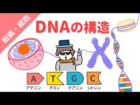 DNA チップ - 定義