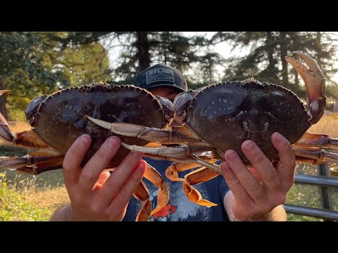 EVERY SPOT in Oregon to Crab WITHOUT A BOAT with...