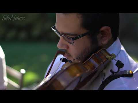 Wave - Tom Jobim (Tato Moraes)