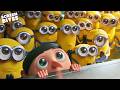 The Best Of The Minions Minions 2015 Despicable Me 2010 Screen Bites